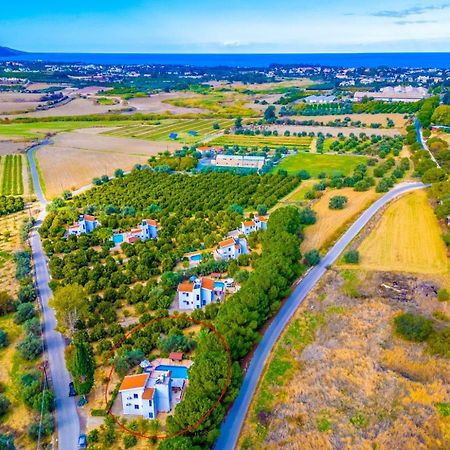 Villa Charoula Ena Polis المظهر الخارجي الصورة